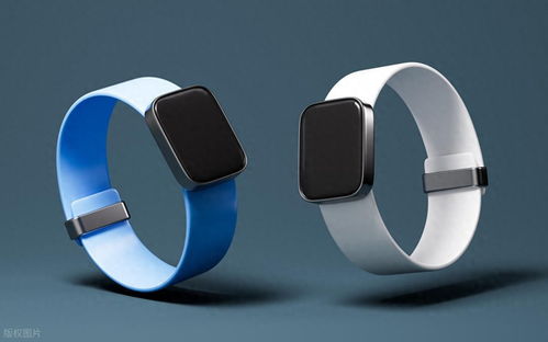 智能手环 以“小而专”的身姿，问鼎实用王者